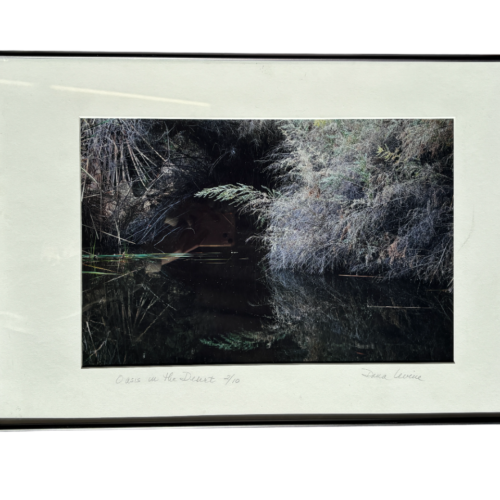 Oasis in the Living Desert - Framed Photo in Metal Frame, Ltd Ed